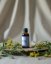 Propolisová tinktúra DENTAL 50ml