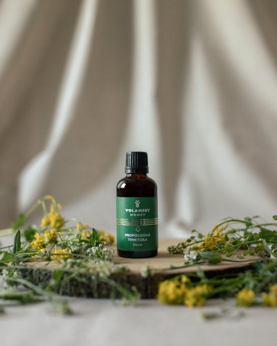 Propolisová tinktúra ŠALVIA 50ml