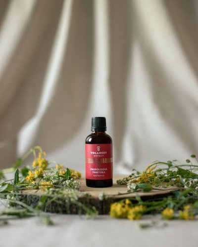 Propolisová tinktúra GASTROPLUS 50ml