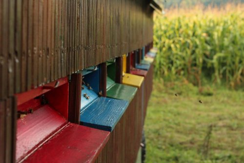 Vitajte u nás