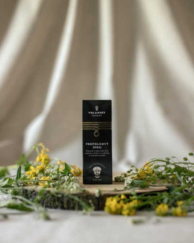 Propolisový sprej 25ml