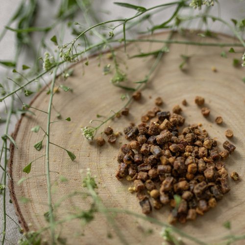 Včelí peľ Perga 110g Včelí peľ Perga 110g